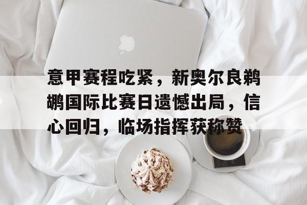  新奥尔良黄蜂队标 